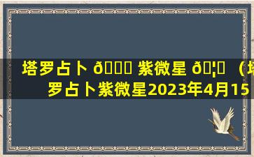 塔罗占卜 🐎 紫微星 🦁 （塔罗占卜紫微星2023年4月15日发布）